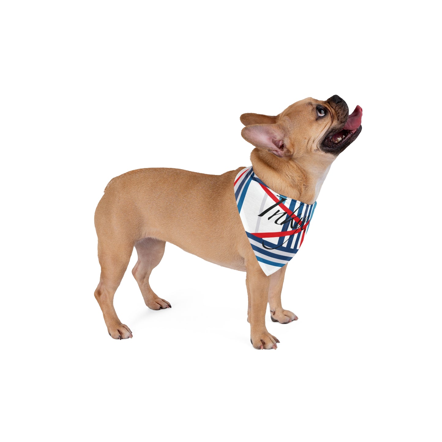 Pet Inkye Multi-stripes Bandana