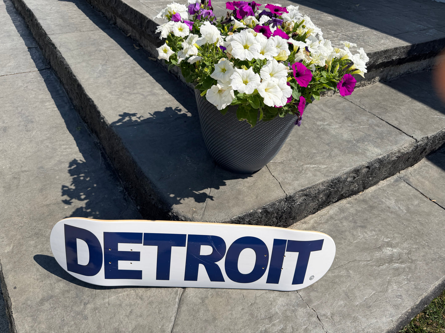 "Bird Logo Hometown" Skateboard Deck